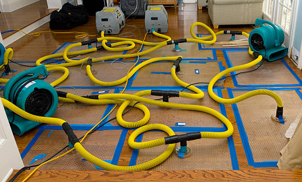 Professional Crawl Space Water Removal technician working in Damascus, OH